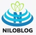 web developer